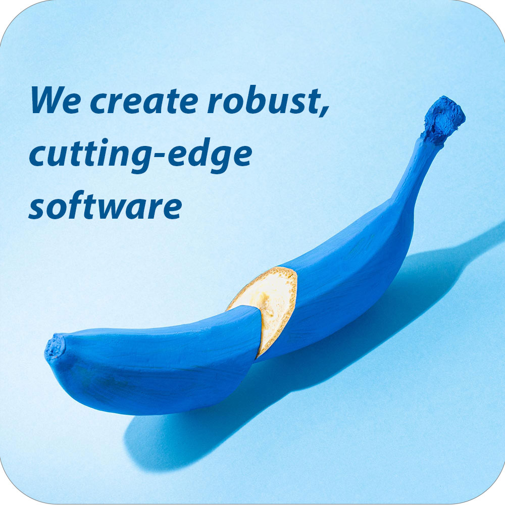 Create Robust, cutting-edge software